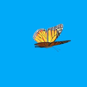 ویدیو فوتیج انیمیشن پروانه در طبیعت با کیفیت بالا