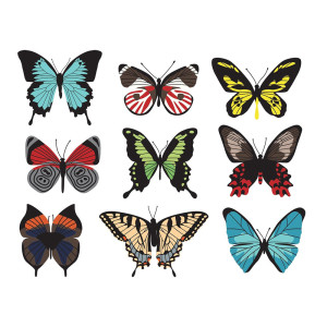 طرح لایه باز پروانه با کیفیت بالا