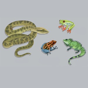 طرح لایه باز حشرات مار،قورباشه،آفتاب پرست