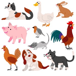 طرح لایه باز مجوعه حیوانات با کیفیت بالا