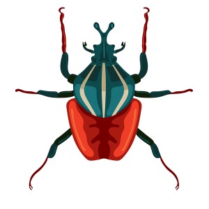 طرح رایگان لایه باز سوسک با کیفیت بالا