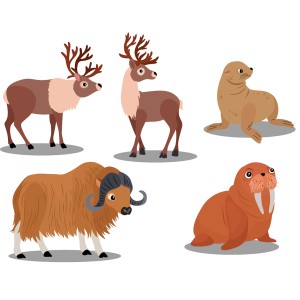 طرح لایه باز حیوانات فانتری با کیفیت بالا