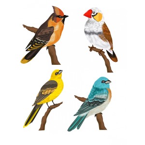 طرح لایه باز انواع کنجشگ رنگارنگ