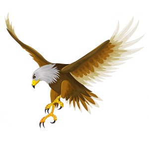طرح لایه باز عقاب در حال پرواز