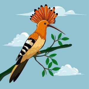 طرح لایه باز پرنده دارکوب با کیفیت بالا