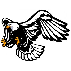 طرح لایه باز عقاب با کیفیت بالا