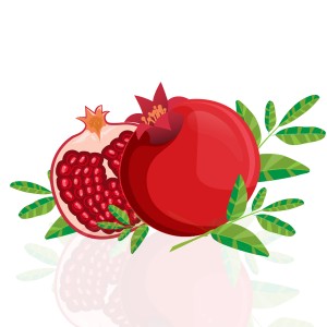 طرح لایه باز انار و دانه های آن