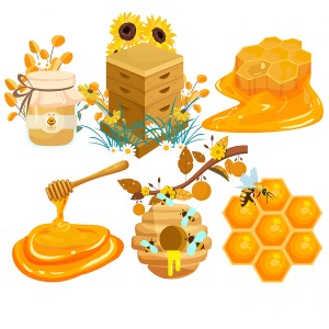 طرح لایه باز رنبور عسل و شیشه عسل