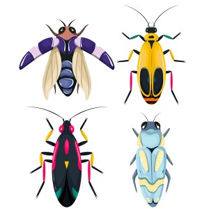 طرح لایه باز حشرات مختلف با زنگ های متفاوت