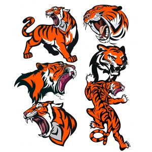 طرح لایه باز ببر و حالت های مختلف آن