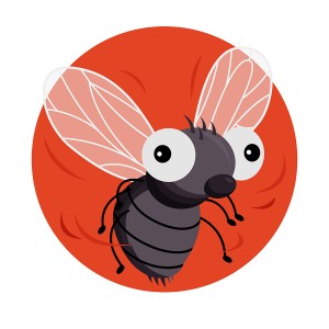 طرح لایه باز  پشه مگس در حال پرواز