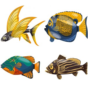 طرح لایه باز انواع ماهی زینتی