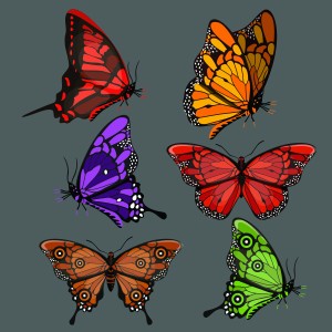 طرح لایه باز پروانه های رنگی