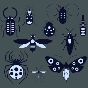 طرح لایه باز وکتور انواع حشرات فانتزی