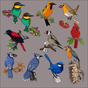 طرح رایگان لایه باز انواع پرنده گنجشک نشسته