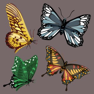 طرح لایه وکتور پروانه های مختلف در رنگ های مختلف