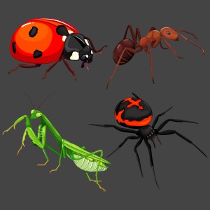 طرح لایه باز رایگان حشرات با کیفیت بالا