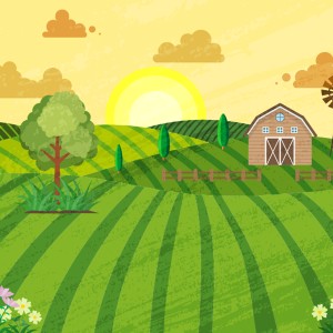 طرح لایه باز غروب آفتاب در مزرعه با کیفیت بالا