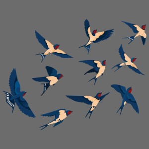طرح لایه باز وکتور مجموعه پرندگان در حال پرواز
