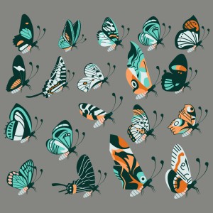 طرح لایه باز وکتور مجموعه عظیم پروانه های متفاوت