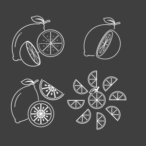 طرح لایه باز وکتور مجموعه آیکن های لیمو