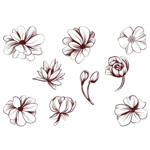 طرح لایه باز گل ها متنوع خطی با کیفیت بالا