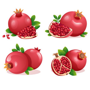 لایه باز AI مجموعه آیکن های انار با کیفیت بالا