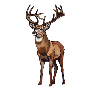 طرح لایه باز وکتور مجموعه 4 عددی گوزن با کفیت بالا