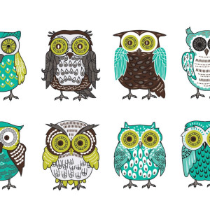 طرح لایه باز وکتور مجموعه 4 عددی پرنده جغد