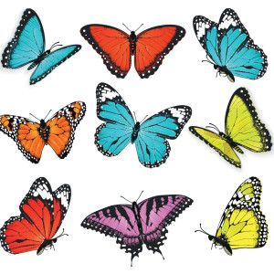 طرح لایه باز وکتور مجموعه 3 عدد پروانه با کیفیت