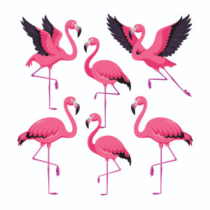 طرح لایه باز وکتور مجموعه 10 عددی فلامینگو