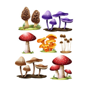 طرح لایه باز وکتور مجموعه 4 عددی قارچ