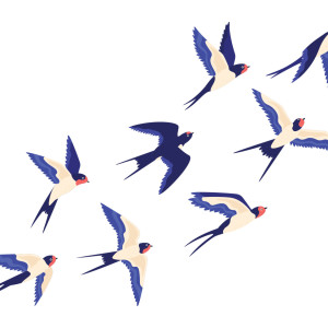 طرح لایه باز وکتور مجموعه پرندگان در حال پرواز