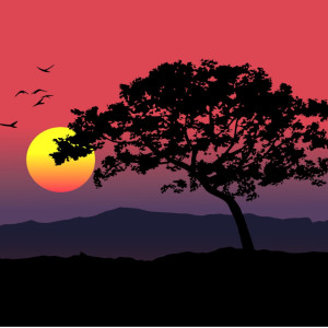 طرح لایه باز وکتور درخت در طبیعت و غروب آفتاب