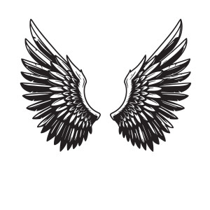 طرح لایه باز وکتور بال پرنده با کیفیت بالا