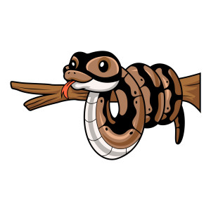 طرح لایه باز وکتور کاراکتر مار بازیگوش