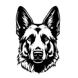 لایه باز فتوشاپ سر سگ با کیفیت بالا