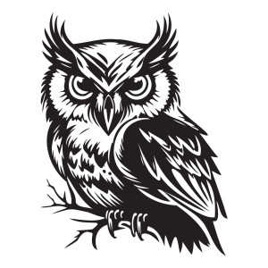 لایه باز فتوشاپ وکتور پرنده جغد با کیفیت بالا