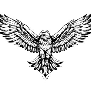 طرح لایه باز عقاب با کیفیت بالا