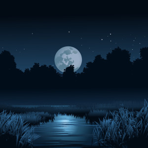 طرح لایه باز کوهستان و جنگل