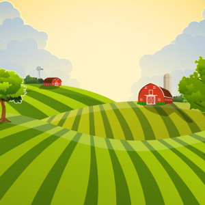 طرح لایه باز غروب آفتاب در مزرعه با کیفیت بالا