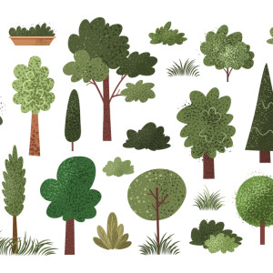 طرح لایه باز انواع درختان جنگلی با کیفیت بالا