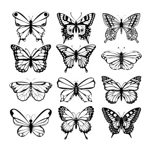 لایه باز وکتور psd پروانه سیاه رنگ با کیفیت بالا