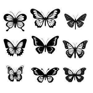 طرح لایه باز وکتور مجموعه پروانه با کیفیت بالا