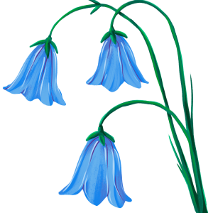 طرح لایه باز وکتور مجموعه گل قرمز با کیفیت بالا.