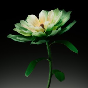 عکس 8k گل سبز زنگ با پس زمینه سیاه با کیفیت بالا