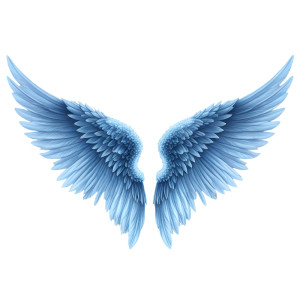 عکس بال فرشته با رنگ های متفاوت و زیبا با کیفیت