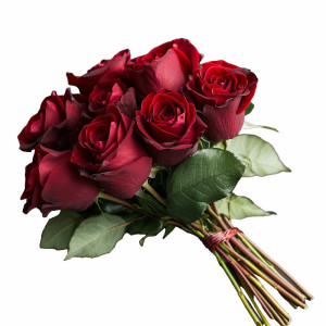 عکس عاشقانه دسته گل رز قرمز رنگ  با کیفیت بالا