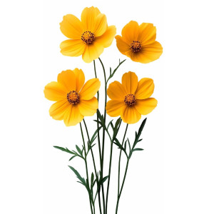 عکس گل زیبای طبیعی زرد رنگ با کیفیت بالا