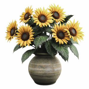 عکس png گل آفتابگردان در گلدان با کیفیت بالا و خام